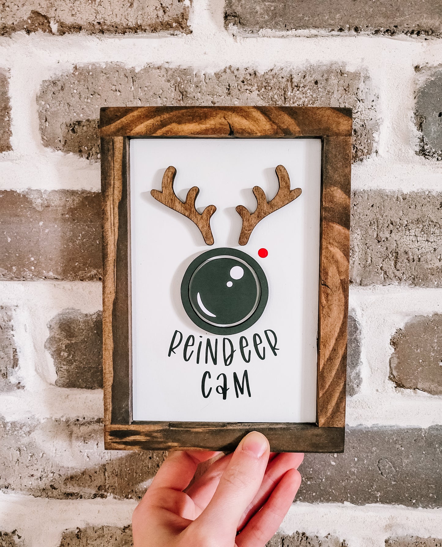 Reindeer Cam